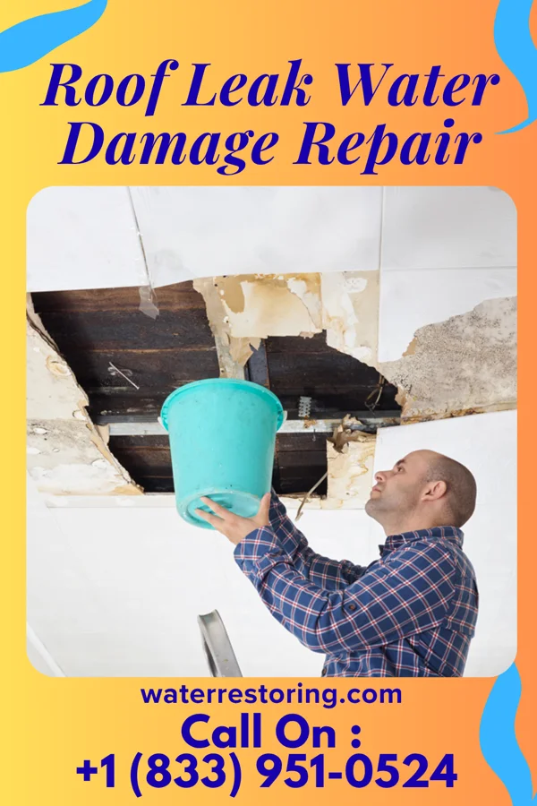 Roof Leak Water Damage Repair in Nocona Hills, TX